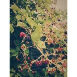 Sophie Cookson Instagram - Already...?