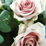 Sophie Cookson Instagram - Small Pleasures.