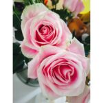 Sophie Cookson Instagram – Always buy yourself flowers 💗 #selflove