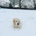 Sophie Rundle Instagram - There’s no business like snow business and other such puns ☃️❄️