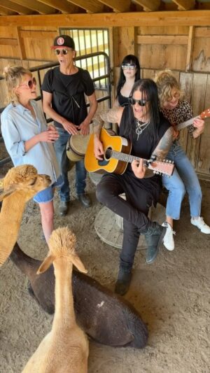 Sosie Bacon Instagram - A rare sighting of us actually getting the alpacas’ attention. @officialfilter #TakeaPicture #TBT