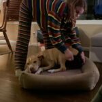 Sosie Bacon Instagram - A song I wrote about one of the many fabulous decisions I've made.