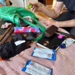 Sosie Bacon Instagram - What’s in ur purse