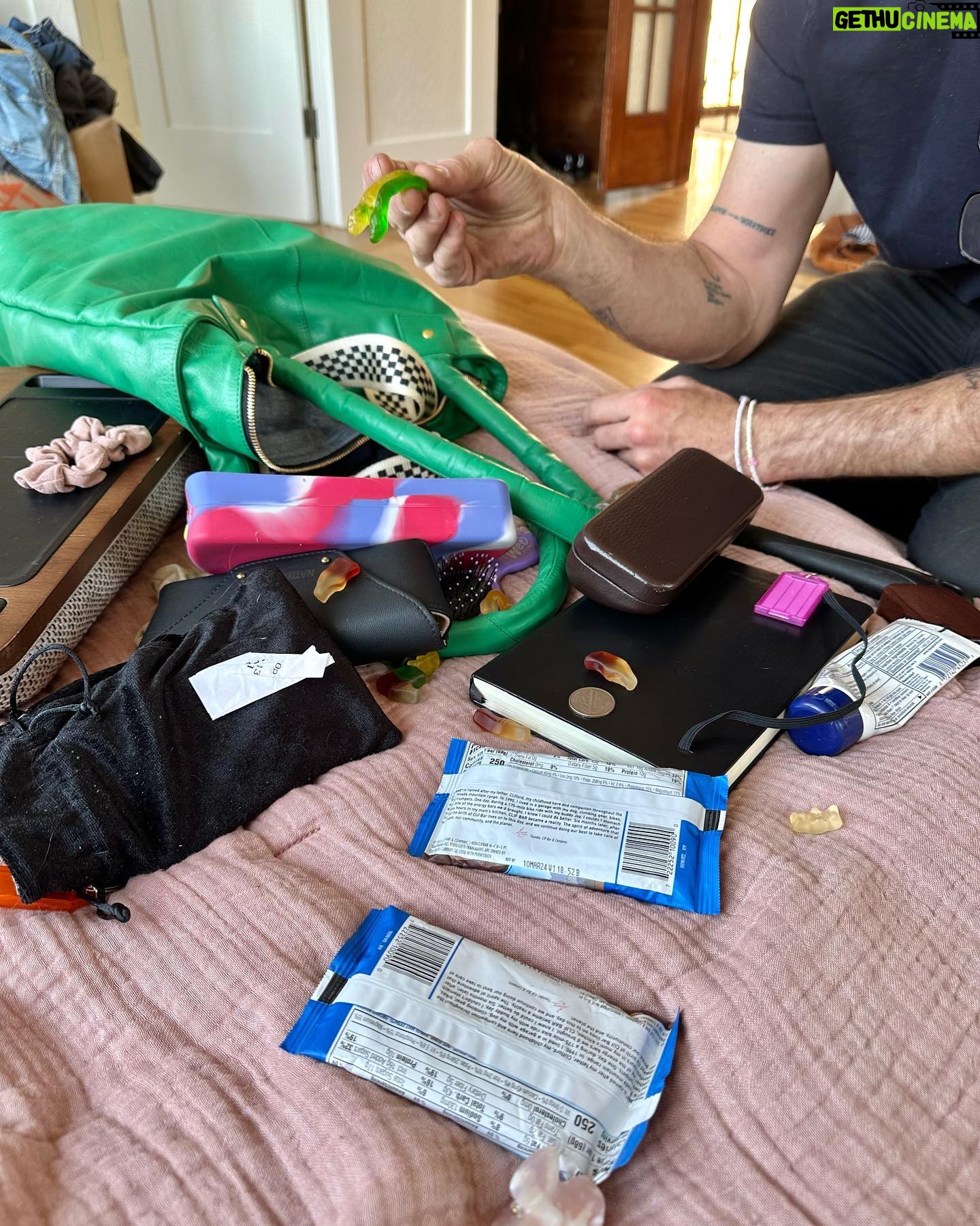 Sosie Bacon Instagram - What’s in ur purse