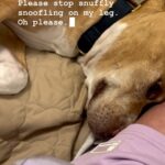 Sosie Bacon Instagram - If snape met my dog
