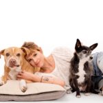 Sosie Bacon Instagram - Chester and Ella are chic. Thank you for the shots @charlienunnphotography and thank you @wagsandwalks for the joy and laughs and love these two pups have given me!
