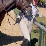 Sosie Bacon Instagram - The professional preparation routine of an experienced award winning equestrian.