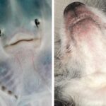 Sosie Bacon Instagram – Stuff that slaps