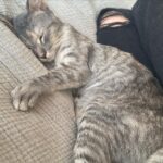 Sosie Bacon Instagram – Stuff that slaps