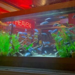 Spencer Grammer Instagram - Things involving water I thought looked cool this week…
#water #mystic #connecticut #fish