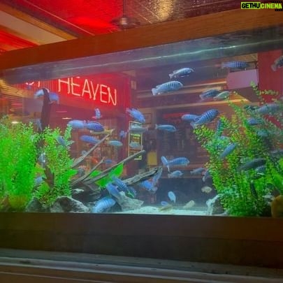 Spencer Grammer - 575 Likes - Things involving water I thought looked cool this week…
#water #mystic #connecticut #fish