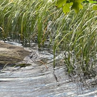 Spencer Grammer - 575 Likes - Things involving water I thought looked cool this week…
#water #mystic #connecticut #fish