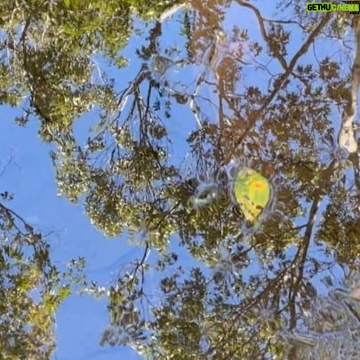 Spencer Grammer - 575 Likes - Things involving water I thought looked cool this week…
#water #mystic #connecticut #fish