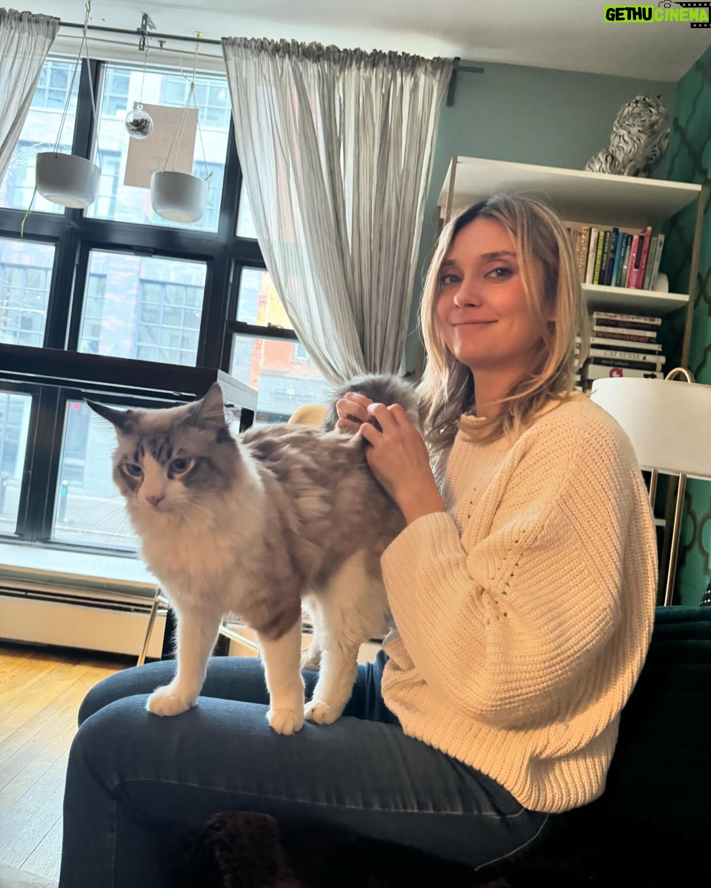 Spencer Grammer - 1.8K Likes - February #photodump 2024…
thank you to @wbd for the tickets to @lakers
The fun with my NYC friends and all the kitties I’ve snuggled along the way.