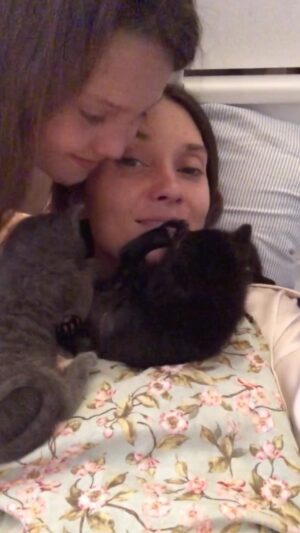 Spencer Grammer Instagram - Ill always cherish this memory of @ninjacatstagrammer @ghosty_the_cat_, #shadow and my son from 2020.