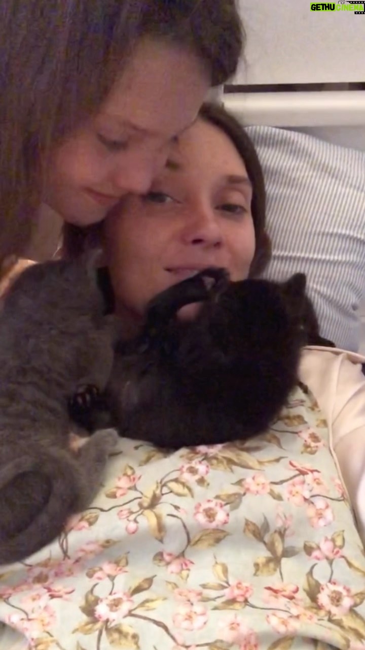 Spencer Grammer - 2.4K Likes - Ill always cherish this memory of @ninjacatstagrammer @ghosty_the_cat_, #shadow and my son from 2020.