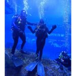 Sri Gouri Priya Instagram - Hello from another side!👋🏼🐟 What mad fun it was!😍💙 PS - This trending song is from my episode in Modern Love Chennai. Now I have a song and a picture with a sora (shark) in it!😂