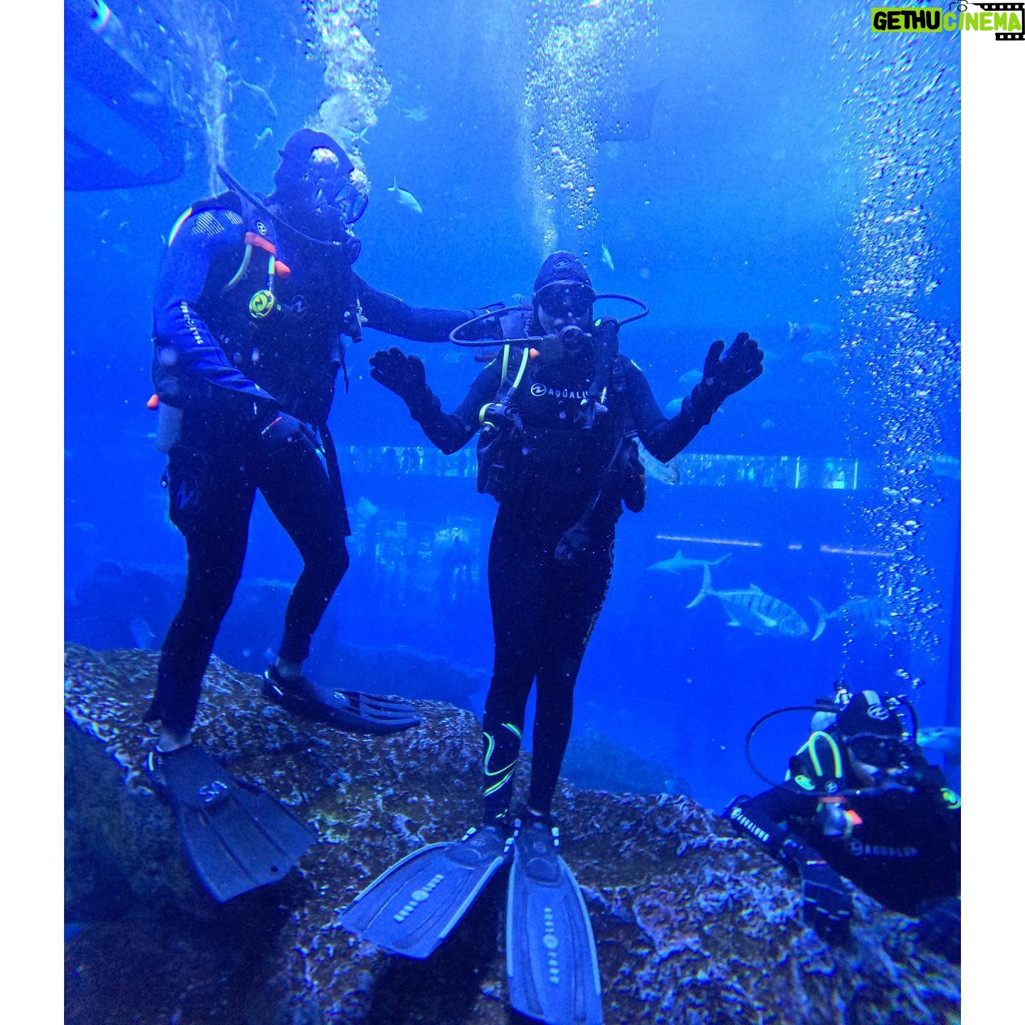 Sri Gouri Priya Instagram - Hello from another side!ππΌπ What mad fun it was!ππ PS - This trending song is from my episode in Modern Love Chennai. Now I have a song and a picture with a sora (shark) in it!π