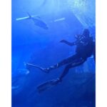 Sri Gouri Priya Instagram - Hello from another side!👋🏼🐟 What mad fun it was!😍💙 PS - This trending song is from my episode in Modern Love Chennai. Now I have a song and a picture with a sora (shark) in it!😂