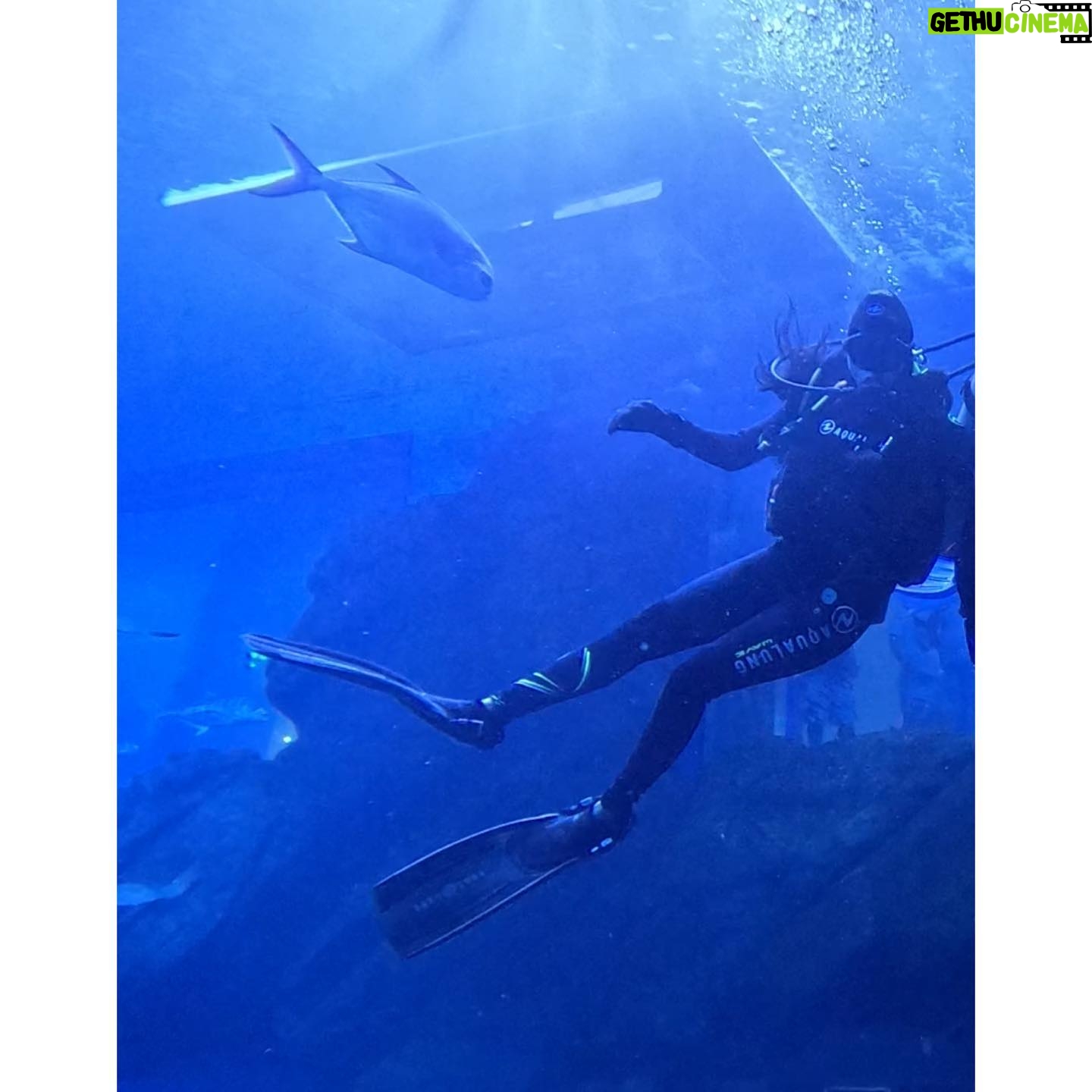 Sri Gouri Priya Instagram - Hello from another side!👋🏼🐟 What mad fun it was!😍💙 PS - This trending song is from my episode in Modern Love Chennai. Now I have a song and a picture with a sora (shark) in it!😂