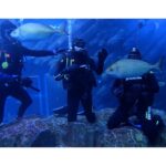 Sri Gouri Priya Instagram - Hello from another side!👋🏼🐟 What mad fun it was!😍💙 PS - This trending song is from my episode in Modern Love Chennai. Now I have a song and a picture with a sora (shark) in it!😂