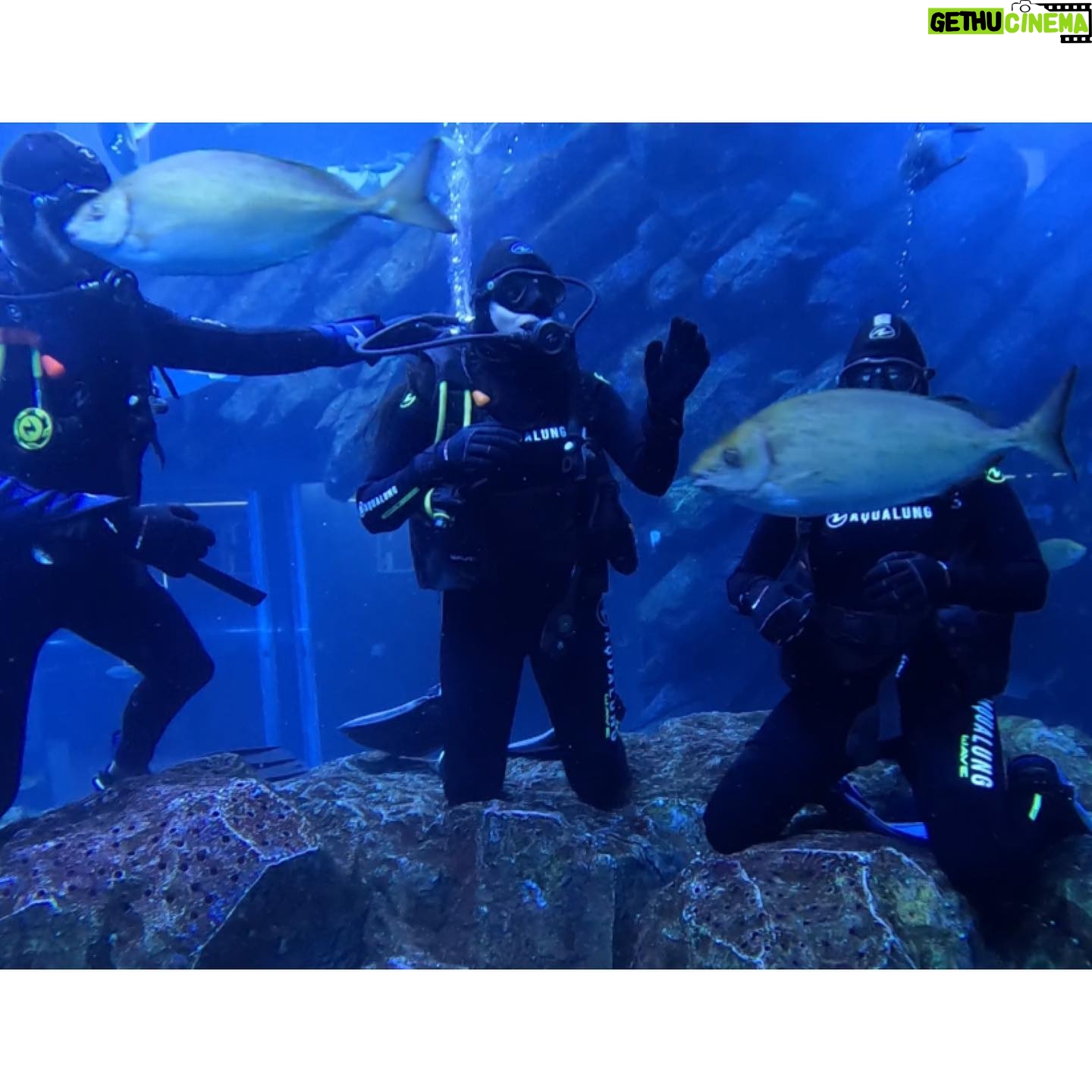 Sri Gouri Priya Instagram - Hello from another side!ππΌπ What mad fun it was!ππ PS - This trending song is from my episode in Modern Love Chennai. Now I have a song and a picture with a sora (shark) in it!π