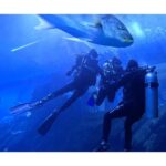 Sri Gouri Priya Instagram - Hello from another side!👋🏼🐟 What mad fun it was!😍💙 PS - This trending song is from my episode in Modern Love Chennai. Now I have a song and a picture with a sora (shark) in it!😂