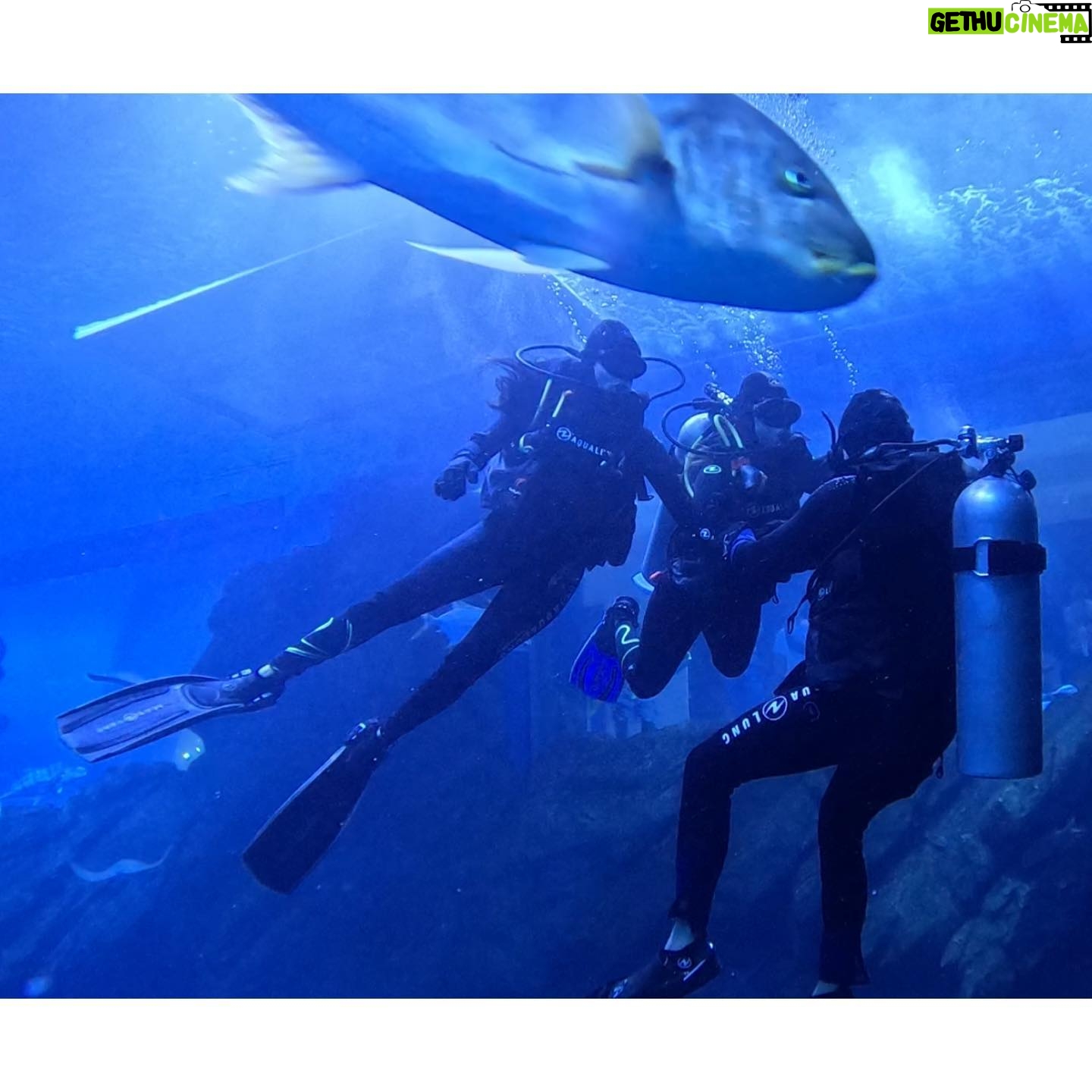 Sri Gouri Priya Instagram - Hello from another side!ππΌπ What mad fun it was!ππ PS - This trending song is from my episode in Modern Love Chennai. Now I have a song and a picture with a sora (shark) in it!π