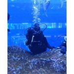 Sri Gouri Priya Instagram - Hello from another side!👋🏼🐟 What mad fun it was!😍💙 PS - This trending song is from my episode in Modern Love Chennai. Now I have a song and a picture with a sora (shark) in it!😂