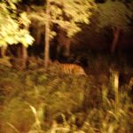 Srishti Ganguli Rindani Instagram - Presenting the next wildlife photography sensation who froze when she spotted her first tiger and clicked a blurry picture that she’s going to proudly hang on her wall. Keep swiping to see the abstract art I’ve created. And then swipe to the last picture, to see the abstract art that God created - accidentally.