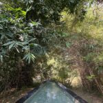 Srishti Ganguli Rindani Instagram - Just when I thought nothing could excite me enough anymore, I found the jungle. Waking up at 4am to see a tiger isn’t something I’d imagined myself doing. But if you ask me now, I could do it every single day for the rest of my life. Thank you @redearth.in, Tadoba, for hosting my family and me at your spectacular resort. While the sprawling lush property left me looking, Red Earth for me was its people. - The super bright and talented - @jeswin_kingsly. Don’t miss his brilliant short documentary on the elephant-human conflict called ‘Kaliru’ on YouTube. The extraordinary naturalist - @mayravinod, our walking talking encyclopedia on every plant, bird, insect. reptile, mammal and amphibian that exists. @saraya_963, @pallavi_wildlifemoments and @jezreenajez who were always around, smiling and ready to help with anything we needed. The cutest Chef - @skyasin42 who didn’t let us go without trying his special Gondi Thali. I also may haven stolen some thecha from his kitchen. Spl mention to Chef Kishore Ji and the hardworking cooking crew. The way they ran back and forth to get us whatever we needed was just overwhelming. And then there was the village walk at Pimpalkutt, where I had the privilege of meeting its wonderful people. The kids chanted in unison as we left - “Jai Seva” and that perfectly summarized Red Earth Tadoba’s ethos. It’s all about service. Whether it’s towards their guests or the people of Pimpalkut, who they support in every possible way, offering employment and assistance whenever needed. Makes you think… thodi bahut achaai toh bachi hai duniya mein. Jai Seva.