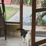 Srishti Ganguli Rindani Instagram - Fillfulling