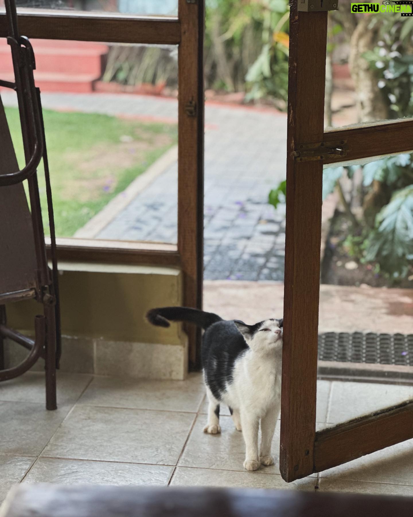 Srishti Ganguli Rindani Instagram - Fillfulling
