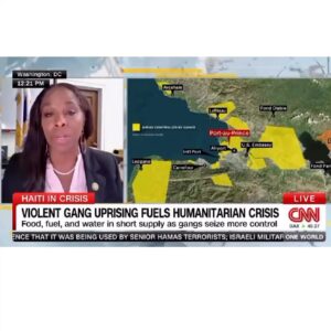 Stacey Plaskett Instagram - Yesterday afternoon I joined CNN International’s One World to discuss the current state of Haiti.

My colleagues of the CBC and I are dedicated to helping create a transitional government to bring back stability to the Haitian people. 

#stabilizehaiti #usherinorder