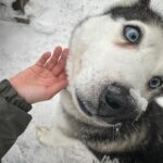 Stasya Miloslavskaya Instagram - я на севере была (нет,здесь не будет продолжения частушек сектора газа)
