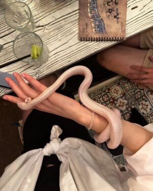 Stasya Miloslavskaya Instagram - вы с подругой после того как всех обосрали,но в конце добавили-да кто мы такие,чтобы судить

отмечай свою змеюку