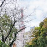 Stella Lee Instagram - SHARE KE TEMEN KALIAN YANG MAU JALAN JALAN KE JEPANG Kalau jalan jalan nyaman di Jepang, kira kira butuh biaya berapa ya? Tidak semua orang jalan jalan dengan backpacker style, ada yang tipe comfortable, ada juga dengan luxury. Kalau di sini aku akan spill kisaran budget yang harus kamu siapkan untuk jalan jalan yang comfortable di jepang 💖 FLIGHT TICKET ✈️ : Lupakan low cost airline atau transit lama, pilih 5 stars airline dengan direct flight agar lebih nyaman dan tidak membuang waktu. Economy flight ticket biasanya berkisar di 9-13jt an. Sedangkan business class bisa di 30-40jt HOTEL 🏨 : Dengan budget 4-5jt, kalian memiliki pilihan untuk tinggal di hotel di tengah pusat kota, dekat dengan tempat turis dan pusat perbelanjaan. Terutama di Tokyo yang spacenya kecil, kalian bisa mendapatkan hotel yang cukup luas untuk beraktivitas dan membuka koper. Harga hotel ini untuk 1 orang saja, bila kalian pergi dengan teman atau pasangan, maka bisa saja lebih murah karena dibagi 2 FOOD 🍱 : Pastinya kalian ingin menyantap hidangan hidangan lezat seperti sushi dan yakiniku berkualitas tinggi. Omakase ada di harga 10-30k yen yakni sekitar 1-3jt. Dengan budget 3jt per hari, rekomendasiku adalah omakase sushi for lunch di harga 10k yen, dan dinner 15k yen. Bila ingin lebih splurge, bisa dinner di 30k yen, dan makan siang yang biasa di 2000-3000 yen saja TRANSPORT 🚕 : Mix antara taxi dan juga kereta. Taxi di Jepang tergolong mahal karena 2km pertama di harga 100rb an. Plusnya adalah tidak perlu capek naik turun tangga maupun nyasar salah membaca peta. Biaya transport airport one way taxi dari Haneda ke pusat Tokyo berkisar di 8000-9000 yen, sedangkan Narita 20-30.000 yen. Kalau aku pribadi, Haneda masih ok untuk taxi, tapi kalau Narita lebih baik menggunakan kereta ACTIVITY 🗼: Disney, USJ, Warner Bros Studio, Team Lab, dll. Tidak lupa membeli fast pass dll. Aku budget kan di 5jt per minggu untuk aktivitas, dan sudah include untuk budget jajan jajan kecil Kira kira kalian prefer jalan jalan nyaman atau backpacker style? More about BUDGETING on www.stellartravelguide.com di mana aku membahas mengenai traveling in 3 budgets, LOW-MID-LUXURY ✨