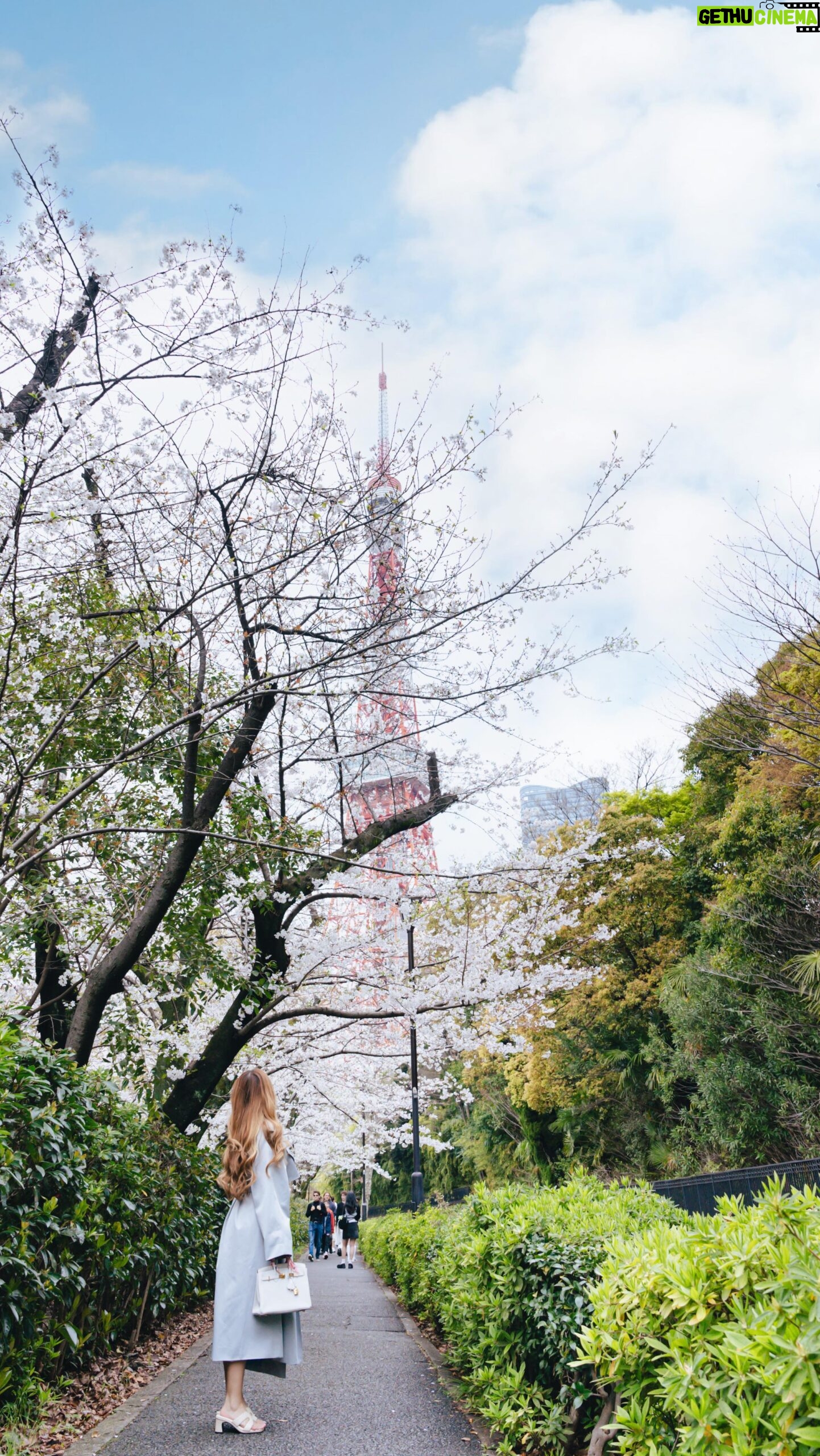 Stella Lee Instagram - SHARE KE TEMEN KALIAN YANG MAU JALAN JALAN KE JEPANG Kalau jalan jalan nyaman di Jepang, kira kira butuh biaya berapa ya? Tidak semua orang jalan jalan dengan backpacker style, ada yang tipe comfortable, ada juga dengan luxury. Kalau di sini aku akan spill kisaran budget yang harus kamu siapkan untuk jalan jalan yang comfortable di jepang π FLIGHT TICKET βοΈ : Lupakan low cost airline atau transit lama, pilih 5 stars airline dengan direct flight agar lebih nyaman dan tidak membuang waktu. Economy flight ticket biasanya berkisar di 9-13jt an. Sedangkan business class bisa di 30-40jt HOTEL π¨ : Dengan budget 4-5jt, kalian memiliki pilihan untuk tinggal di hotel di tengah pusat kota, dekat dengan tempat turis dan pusat perbelanjaan. Terutama di Tokyo yang spacenya kecil, kalian bisa mendapatkan hotel yang cukup luas untuk beraktivitas dan membuka koper. Harga hotel ini untuk 1 orang saja, bila kalian pergi dengan teman atau pasangan, maka bisa saja lebih murah karena dibagi 2 FOOD π± : Pastinya kalian ingin menyantap hidangan hidangan lezat seperti sushi dan yakiniku berkualitas tinggi. Omakase ada di harga 10-30k yen yakni sekitar 1-3jt. Dengan budget 3jt per hari, rekomendasiku adalah omakase sushi for lunch di harga 10k yen, dan dinner 15k yen. Bila ingin lebih splurge, bisa dinner di 30k yen, dan makan siang yang biasa di 2000-3000 yen saja TRANSPORT π : Mix antara taxi dan juga kereta. Taxi di Jepang tergolong mahal karena 2km pertama di harga 100rb an. Plusnya adalah tidak perlu capek naik turun tangga maupun nyasar salah membaca peta. Biaya transport airport one way taxi dari Haneda ke pusat Tokyo berkisar di 8000-9000 yen, sedangkan Narita 20-30.000 yen. Kalau aku pribadi, Haneda masih ok untuk taxi, tapi kalau Narita lebih baik menggunakan kereta ACTIVITY πΌ: Disney, USJ, Warner Bros Studio, Team Lab, dll. Tidak lupa membeli fast pass dll. Aku budget kan di 5jt per minggu untuk aktivitas, dan sudah include untuk budget jajan jajan kecil Kira kira kalian prefer jalan jalan nyaman atau backpacker style? More about BUDGETING on www.stellartravelguide.com di mana aku membahas mengenai traveling in 3 budgets, LOW-MID-LUXURY β¨