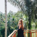 Stella Lee Instagram - Chasing morning sun ☀️
