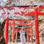 Stella Lee Instagram - UPDATE FOR JAPAN TRAVEL GUIDE!!! 🎉🎉🎉 Sekarang ada 2 bahasa khusus untuk Japan Travel Guide loh. Ratusan page mengenai jepang, dari segala budget, segala season, sampai setiap bulan harus ngapain aja sekarang ada dalam Bahasa Indonesia maupun Bahasa Inggris di www.stellartravelguide.com 🇯🇵🇯🇵🇯🇵