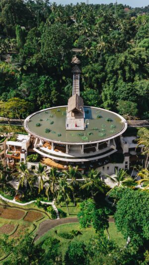 Stella Lee Instagram - Welcome to the most iconic resort hidden in the middle of Ubud’s forest, Four Seasons Resort Sayan Ubud in Bali @fsbali ✨

The iconic Lotus Pond has been the symbol of great architecture of the resort for decades and awaits guests upon arrival

FPV by @felix_lewy , and we receive special permission to fly it from the hotel ✨