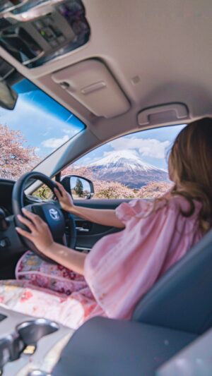 Stella Lee Instagram - How come Japan is this beautiful? 🏔️🌸

Share this to someone who you want to be enjoy this view together with 😍🇯🇵