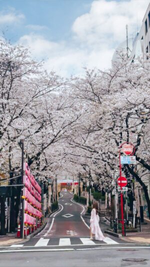 Stella Lee Instagram - “How can you shoot without other people at this busy Shibuya Sakura street?”

Well, how much do you think it cost? 😜💸