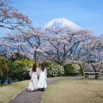 Stella Lee Instagram - SAVE AND SHARE for this year’s Japan’s Sakura Hunting 🌸 Here’s the scoop from a seasoned pro (that’s me!) after 10 years of chasing cherry blossoms in Japan: 🌸 Be a Weather Warrior: Sakura season is like Mother Nature’s surprise party. Dates shift based on weather, so keep tabs on forecasts and local updates. 🌸 Flexibility is Your Friend: Don’t be too married to your itinerary. Be ready to pivot your plans if the blooms decide to show up fashionably late. 🌸 Embrace the Spontaneity: Sometimes the best sakura spots aren’t the ones on the map. Wander off the beaten path and let the pink petals lead the way. 🌸 Eat, Drink, and Be Cherry: Dive into the deliciousness of sakura season with cherry blossom-inspired treats like sakura mochi and hanami bento. Your taste buds will thank you! 🌸 Snap and Share: Capture those picture-perfect moments under the blooms, my tips is to use macro lens such as 50mm to get tighter shot or if youre an iPhone user, use portrait mode 2-5x times to make your pics pop Lets chase pink carpet again this year 🇯🇵🌸