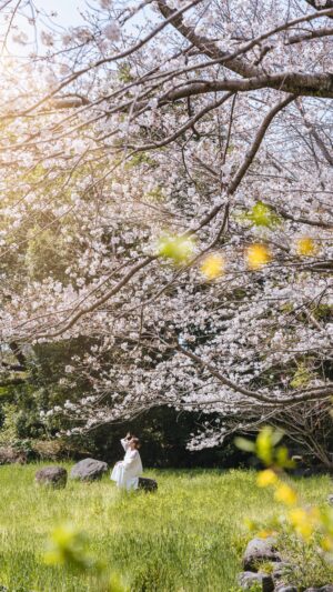 Stella Lee Instagram - Get yourself a travel friend like me 😌

I know some people wonder if I really can take pictures as well as men photographers despite my small build and girly appearance. But I have been doing this for >12 years so I am used to bring all sorts of devices wherever I go 😉

My current camera is SONY, I use A7Riii for pictures and ZV-E1 for videos. I also use iPhone 14 & 15 ProMax and edit my pictures using @themagicpreset 🌸

I do not accept private photography service at the moment but since it’s a hobby of mine, I do have an open trip once in a while on @tell.travel (autumn and Christmas batch coming soon) 📸 Where I take pictures of the participants while traveling together 😘