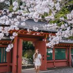 Stella Lee Instagram - Fujinomiya Photo Dump 🗻🇯🇵🌸 Which pic you like most? How to visit Fujinomiya area = ✅ Take shinkansen from Tokyo to Shin Fuji station. Only 1 hour and costs around 5000 yen one way ✅ Rent a car or take local bus or take taxi to explore ✅ Stay at @ogawaso_official Ryokan for authentic local experience and onsen with Mount Fuji view ✅ Visit local areas such as @makainofarm_official , Fujisan Hongu Sengen Taisha, and @mt.fuji_ecotour ✅ Check weather constantly. If it is cloudy, mount fuji might be covered by cloud. Higher chance to see it when it’s winter and sunny day! If you’re tired with the crowded Kawaguchiko, head to this city instead 👀 Thank you @yurisu13 for showing me your city ☺️💖 SAVE and SHARE this tips for future travel ✈️