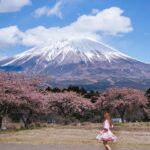 Stella Lee Instagram - Fujinomiya Photo Dump 🗻🇯🇵🌸 Which pic you like most? How to visit Fujinomiya area = ✅ Take shinkansen from Tokyo to Shin Fuji station. Only 1 hour and costs around 5000 yen one way ✅ Rent a car or take local bus or take taxi to explore ✅ Stay at @ogawaso_official Ryokan for authentic local experience and onsen with Mount Fuji view ✅ Visit local areas such as @makainofarm_official , Fujisan Hongu Sengen Taisha, and @mt.fuji_ecotour ✅ Check weather constantly. If it is cloudy, mount fuji might be covered by cloud. Higher chance to see it when it’s winter and sunny day! If you’re tired with the crowded Kawaguchiko, head to this city instead 👀 Thank you @yurisu13 for showing me your city ☺️💖 SAVE and SHARE this tips for future travel ✈️