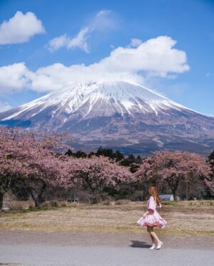 Stella Lee Instagram - Fujinomiya Photo Dump 🗻🇯🇵🌸 Which pic you like most?

How to visit Fujinomiya area =
✅ Take shinkansen from Tokyo to Shin Fuji station. Only 1 hour and costs around 5000 yen one way
✅ Rent a car or take local bus or take taxi to explore
✅ Stay at @ogawaso_official Ryokan for authentic local experience and onsen with Mount Fuji view
✅ Visit local areas such as @makainofarm_official , Fujisan Hongu Sengen Taisha, and @mt.fuji_ecotour 
✅ Check weather constantly. If it is cloudy, mount fuji might be covered by cloud. Higher chance to see it when it’s winter and sunny day! 

If you’re tired with the crowded Kawaguchiko, head to this city instead 👀 Thank you @yurisu13 for showing me your city ☺️💖 SAVE and SHARE this tips for future travel ✈️