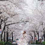 Stella Lee Instagram - UPDATE FOR JAPAN TRAVEL GUIDE!!! 🎉🎉🎉 Sekarang ada 2 bahasa khusus untuk Japan Travel Guide loh. Ratusan page mengenai jepang, dari segala budget, segala season, sampai setiap bulan harus ngapain aja sekarang ada dalam Bahasa Indonesia maupun Bahasa Inggris di www.stellartravelguide.com 🇯🇵🇯🇵🇯🇵