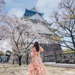 Stella Lee Instagram - UPDATE FOR JAPAN TRAVEL GUIDE!!! 🎉🎉🎉 Sekarang ada 2 bahasa khusus untuk Japan Travel Guide loh. Ratusan page mengenai jepang, dari segala budget, segala season, sampai setiap bulan harus ngapain aja sekarang ada dalam Bahasa Indonesia maupun Bahasa Inggris di www.stellartravelguide.com 🇯🇵🇯🇵🇯🇵